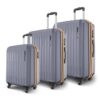 Travel/Trolley Bag